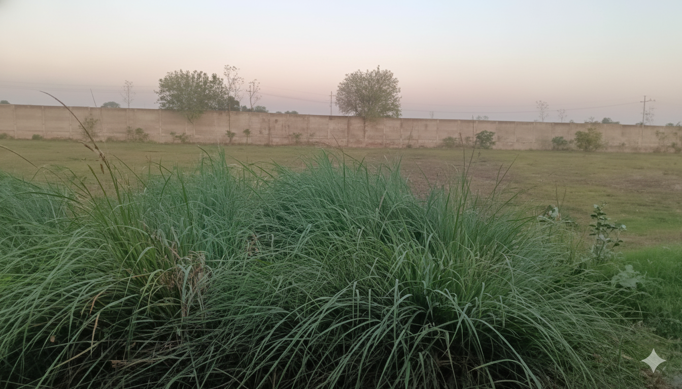 free zone for sale in mohana , sonipat