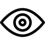 Vision Icon